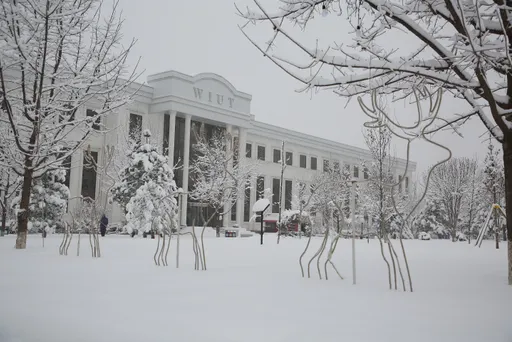 Wiut Building Study In Uzbekistan